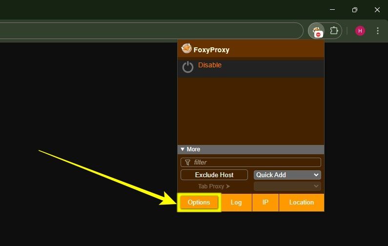Open FoxyProxy options and Add New Proxy